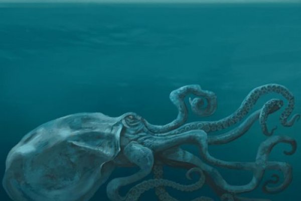 Kraken клирнет зеркало